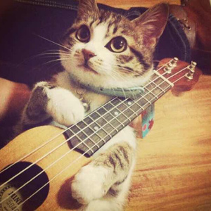 李小璐的黄色小说
