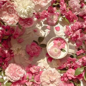 李小璐的黄色小说
